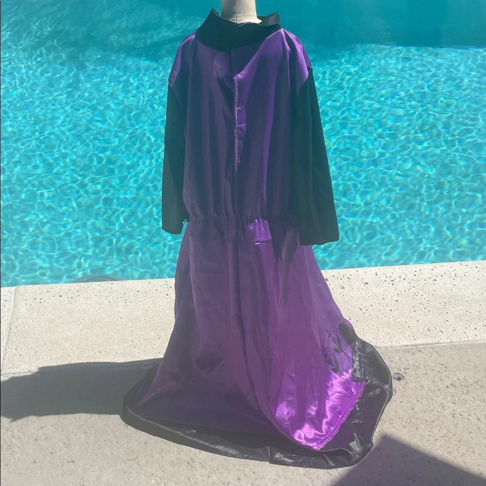 Frozen | Princess Anna | Purple and Black Long Dress with Gold Accents Size 6-6X - Picture 4 of 4